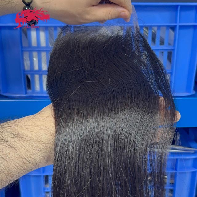 Ali Queen 4x4 HD Straight Free Part Premium Raw Hair Invisible Closure