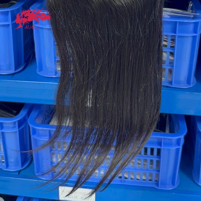 Ali Queen 6x6 HD Deep Side Part Straight Raw Hair Lace Closure