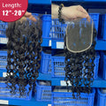 Ali Queen Water Wave Virgin Hair 6x6 HD Lace Closure Free Part
