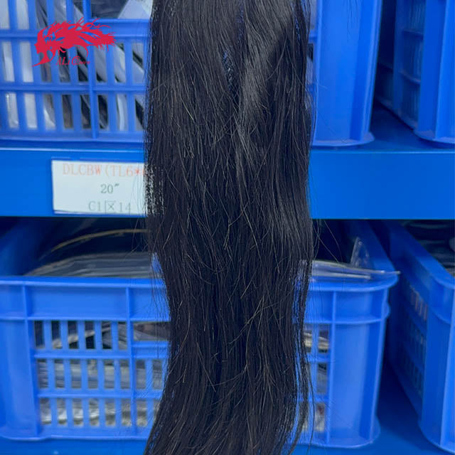 Ali Queen Virgin Straight Hair 2x6 HD Lace Closure Free Part