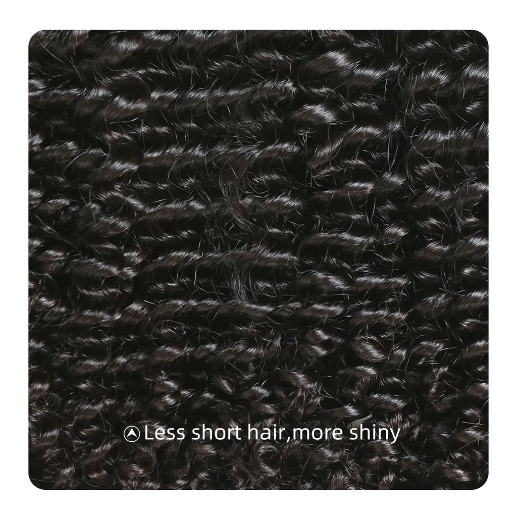 Ali Queen Kinky Curly Bouncy Raw Hair Bundle #1B Natural Black
