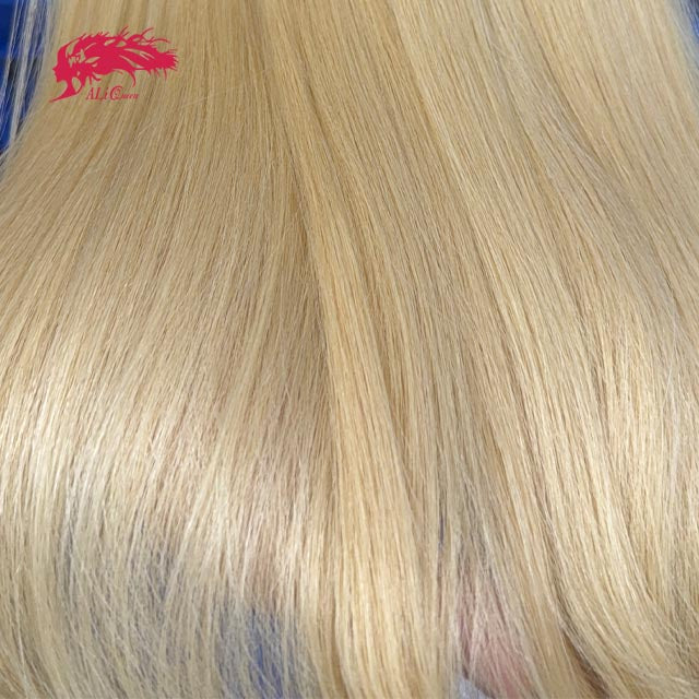 Ali Queen Straight Raw Double Drawn Mink Hair #1B/613 One Bundle